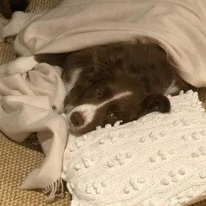 Meet your Posher, Porter